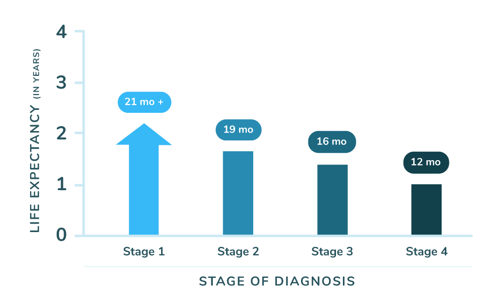 Mesothelioma Life Expectancy by Stage Chart